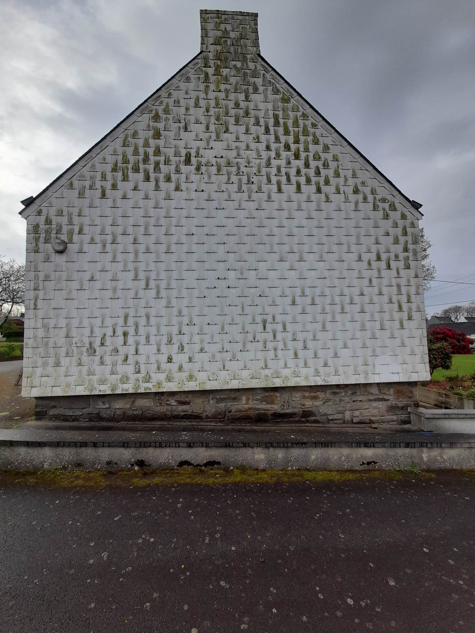 Façade après traitement anti-mousse - surface propre et protégée